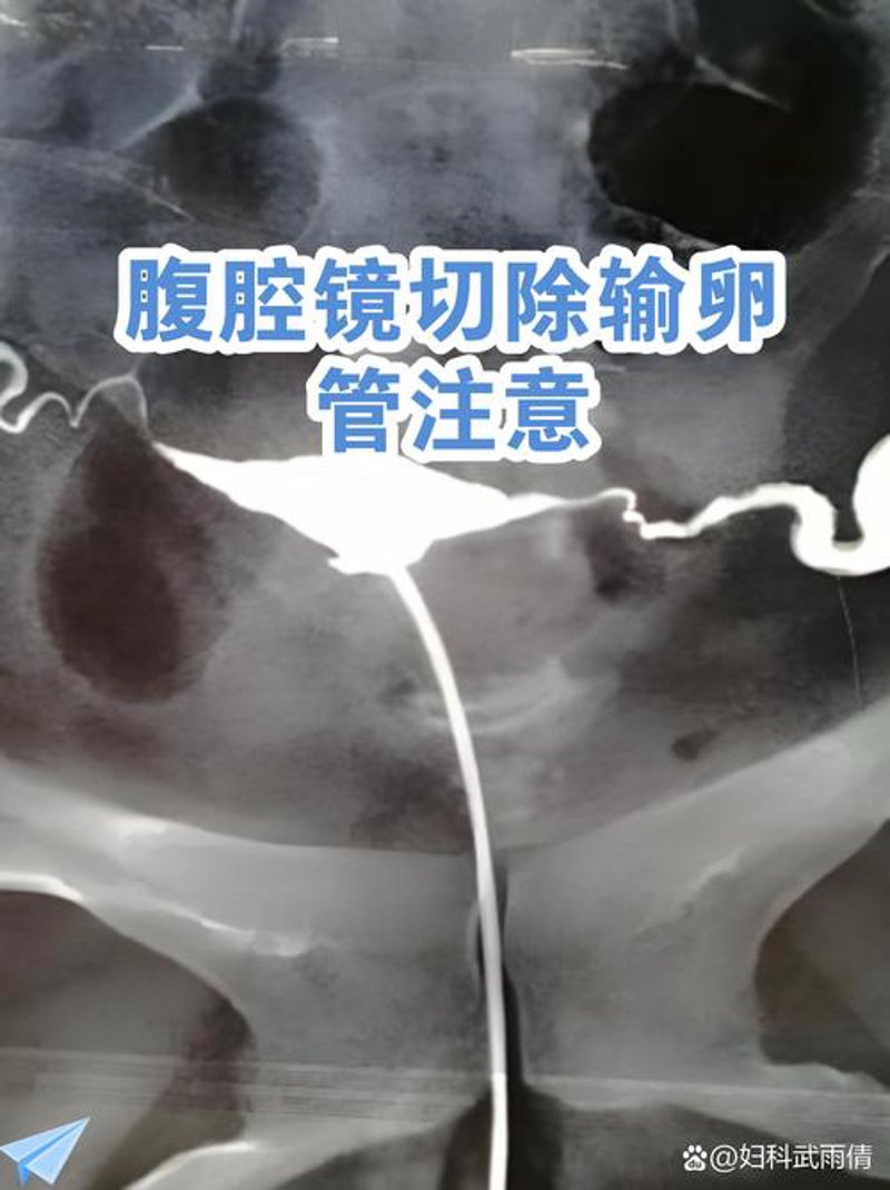 眉山妇科医院最新发展动态